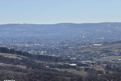 Spațiu comercial, în Iris