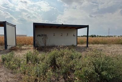 Teren de 405 mp, în Cornetu - 4