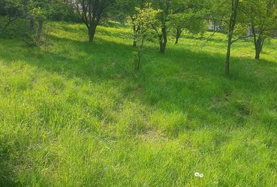 Teren de 2200 mp, în Vlădești - 4