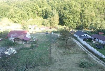 Casa / Vila cu 6 camere de vanzare - 2