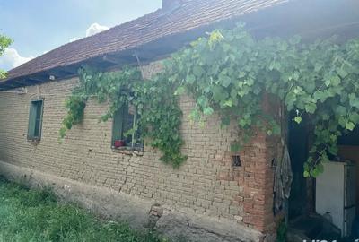 Casa cu teren Remetes Pogonici Caras Severin - 2