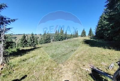 Teren 24,581mp Panaci / Strada Mihailet - 9