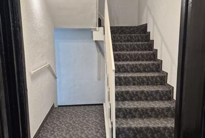 De vânzare Vilă individuala 11 camere curte proprie Parcul Carol De vânzare Vilă individuala 11 camere curte proprie Parcul Carol - 15