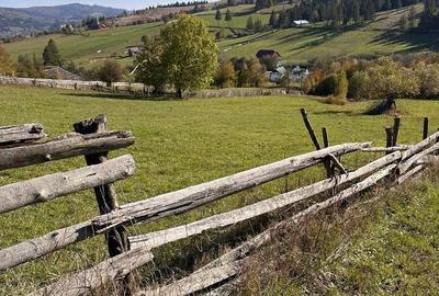 Spațiu comercial, în Pleșa - 1