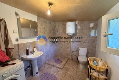 Casă cu 2 camere cu Teren 4500 Mp în Mastacăn (Dragomirești) - 11