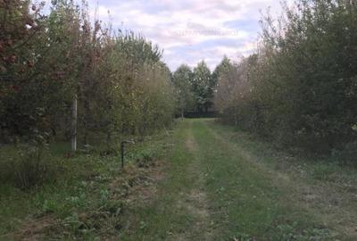 Teren de 500 mp, în Podu Iloaiei - 9