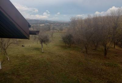 Teren Construcții intravilan de 4062 mp, în Cătunu (Drajna) - 3