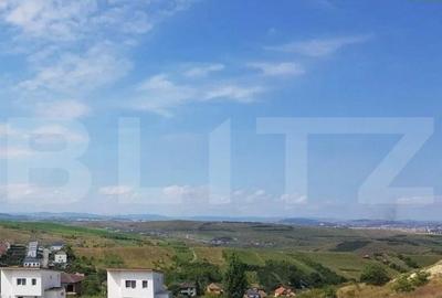 Teren in suprafata de 7290 mp , Dezmir - 1