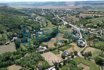 Casă cu 2 camere cu Teren 1425 Mp în Parincea - 14