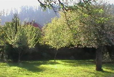 Casă cu 7 camere cu Teren 1500 Mp în Cristian - 2