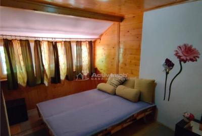 Cabana ta de vis #238;n inima naturii Padurea Neagra ... - 21