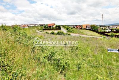 Teren Construcții intravilan de 1300 mp, în Unirii - 4