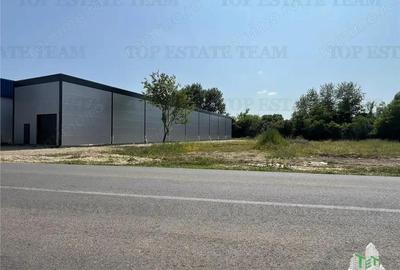 Spațiu comercial, de 435 mp, în Ulmi - 19