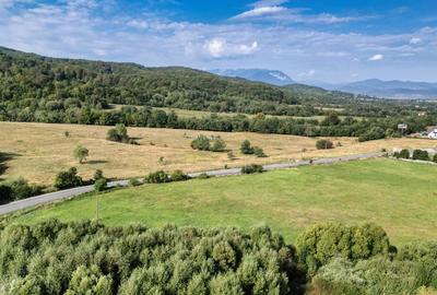 Cheile Rasnoavei DN73A, teren extravilan 3.000 mp, zona de vis, ideal investitie - 12
