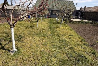 Casă cu 3 camere cu Teren 780 Mp în Smârdan - 11