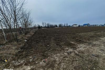 Teren de 8918 mp, în Sărata - 14