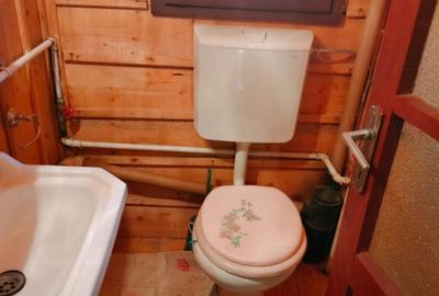 Cabana la Colibita , P+ M -100 mp , 830 mp teren - 2