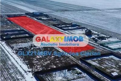 Spațiu comercial, în Hălchiu - 2