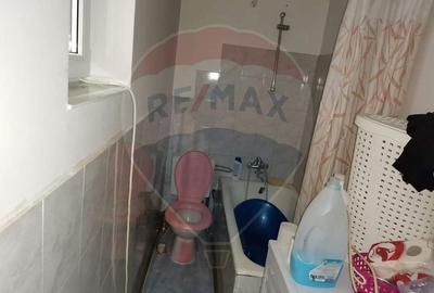 Casa traditionala De Vanzare cu 5 Hectare de teren - 10