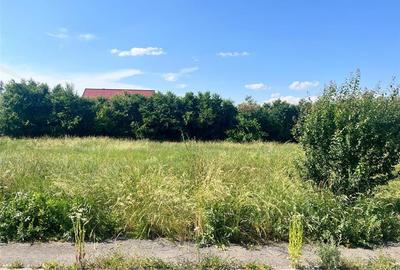 TEREN INTRAVILAN, 1000 mp, HARMAN TEREN INTRAVILAN, 1000 mp, HARMAN - 2