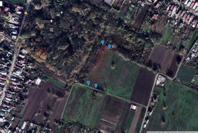 Teren de 4000 mp, în Măgurele - 3