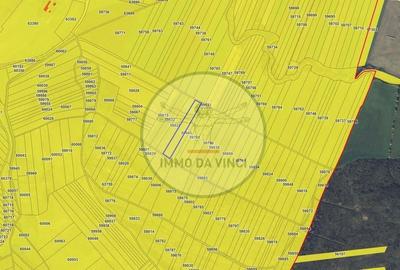 Teren de 38000 mp, în Borșa - 5