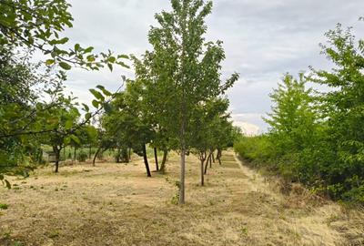 Terenuri intravilane alipibile in Runcu, zona cu potential - 3