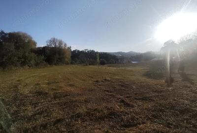Teren de 2631 mp, în Malu Mierii - 8