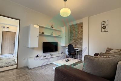 Apartament cu 2 camere semidecomandat, mobilat în Moșilor - 4