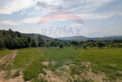 Teren intravilan de vanzare 2.444 mp - Targu Lapu? - 2