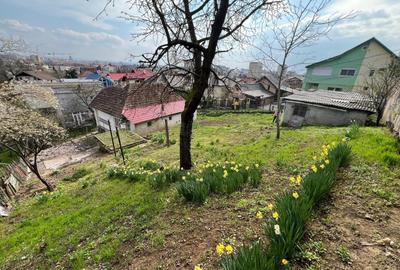 Casă cu 3 camere în Săsar - 12
