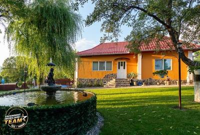 FILM&3D! Doua case cu:piscina,foisor,arbori decorativi,1.700mp teren,Lutoasa,Cov - 1
