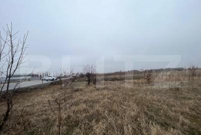 Teren de 50000 mp, în Central