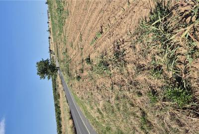 Reco Teren Extravilan Episcopia aproape de Remarkt - 10