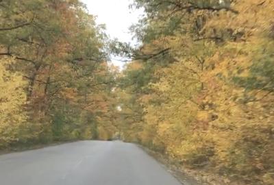 Casă cu 3 camere cu Teren 2000 Mp în Central - 7