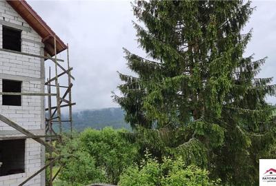 Oportunitate de Investitie Turistica intre Borsec si Toplita - 4