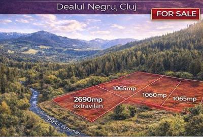 Teren de 1100 mp, în Râșca - 1