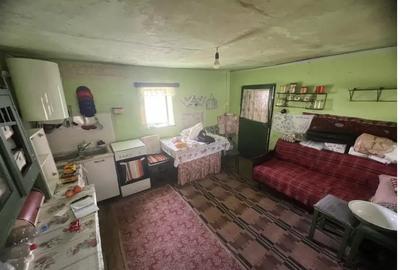 Casa individuala de vanzare | 100 mp utili | teren 2300 mp - sat Rusi - 3