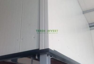 Hala depozitare -  Cernica  Theodor Pallady - 13