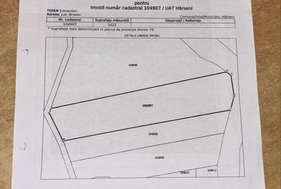 Teren de 5022 mp, în Măliniș - 8