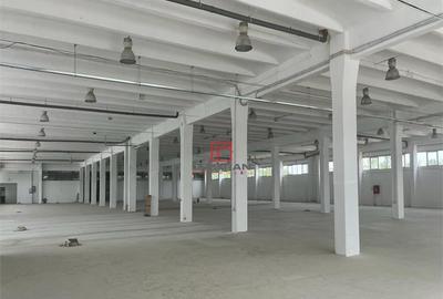 Depozit/hala/spatiu industrial Giurgiului-Progresul - 2