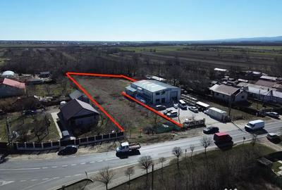 Teren de 3631 mp, în Mândrești-Munteni - 6