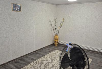 Casă cu 5 camere cu Teren 5000 Mp în Vidra - 7