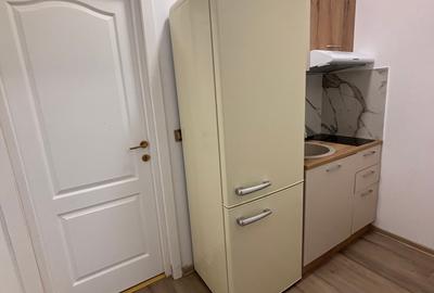 Inchiriere apt.2 camere Cismigiu - 15