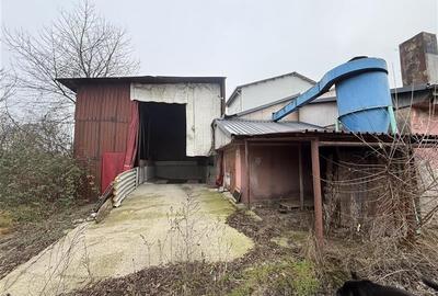 Hale industriale de inchiriat cu platforma betonata de 10.424mp - Șerbanest - 5