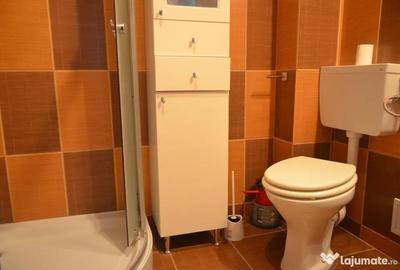 Apartament cu 3 camere decomandat în Poiana Țapului - 8