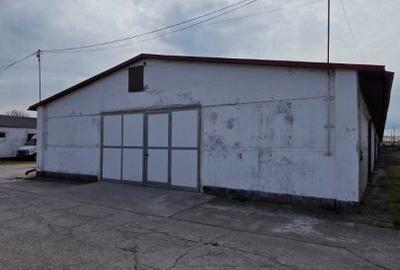 Spațiu comercial, de 1,276 mp, în Careiului - 1