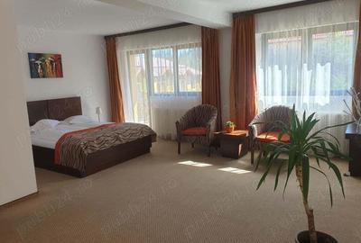 DE VANZARE- Hotel 3* (Predeal) - 6