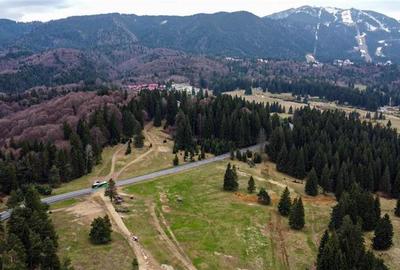 Teren cu potential:1.000 mp,proiect turistic/rezidential,Poiana Brasov - 11
