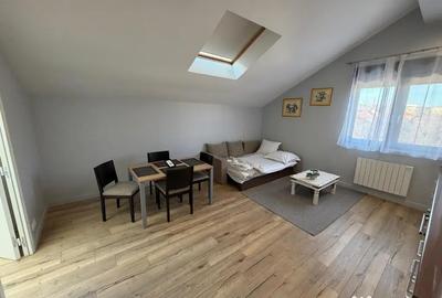 Apartament cu 2 camere semidecomandat în Bujac - 6